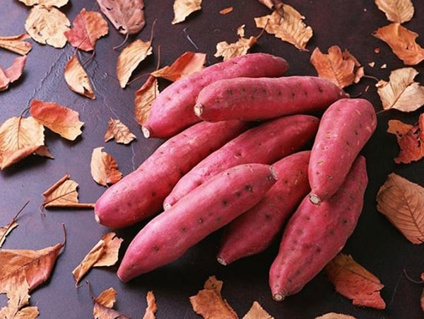 Ngủ mơ thấy củ khoai cảnh báo những khó khăn mới?