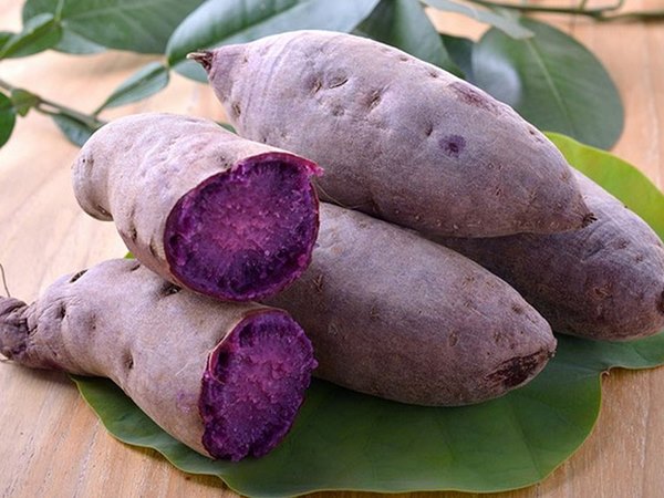 Ngủ mơ thấy củ khoai cảnh báo những khó khăn mới?