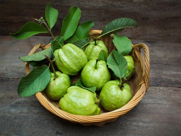 Giấc mộng thấy ăn trộm ổi