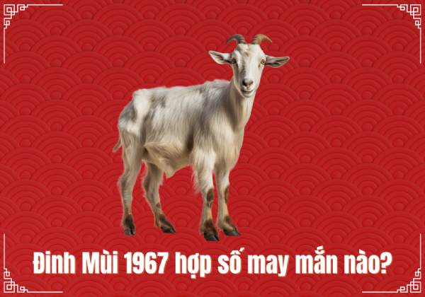 Số may mắn của tuổi Đinh Mùi hôm nay tiết lộ điều gì?