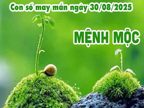 Nhận định con số may mắn người mệnh Mộc ngày 30/8/2025 thứ 7 hôm nay