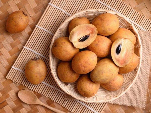 Nằm mơ thấy quả hồng xiêm có ý nghĩa như nào?