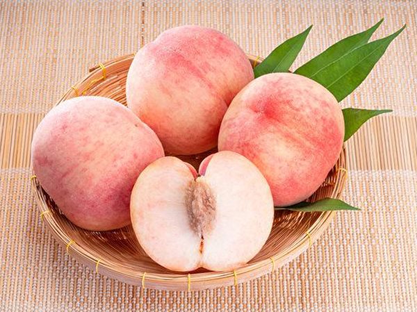 Lời khuyên gì khi bất chợt ngủ mơ thấy quả đào?
