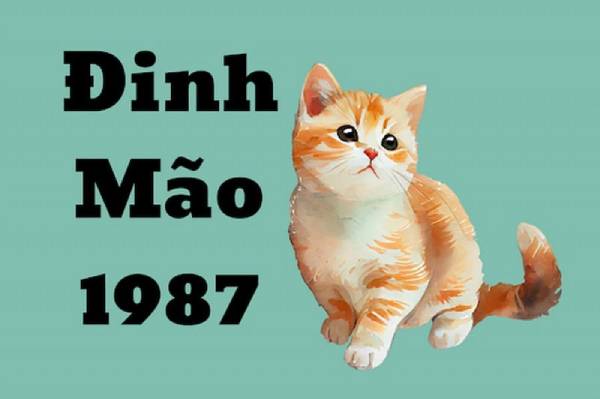Số đẹp tuổi Đinh Mão 27/9/2025 dự báo vận trình ra sao?