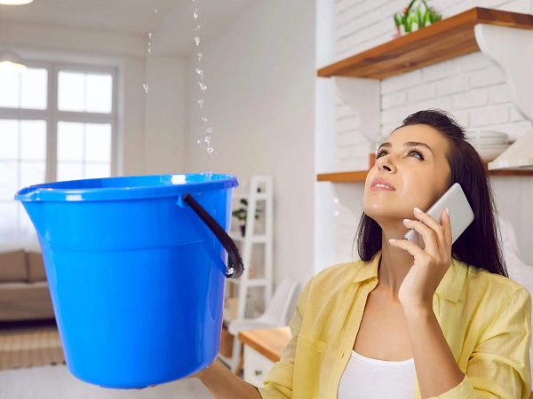 Giải mã nằm mơ thấy mưa dột vào nhà mang ý nghĩa gì?
