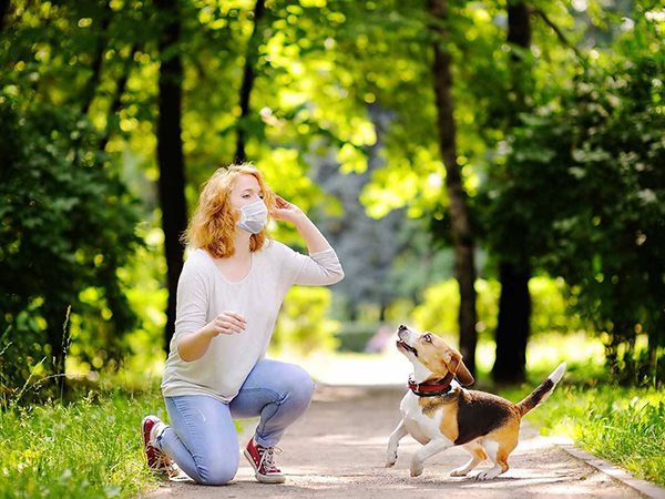 Nằm mơ thấy nuôi chó có điềm gì, tốt hay xấu?