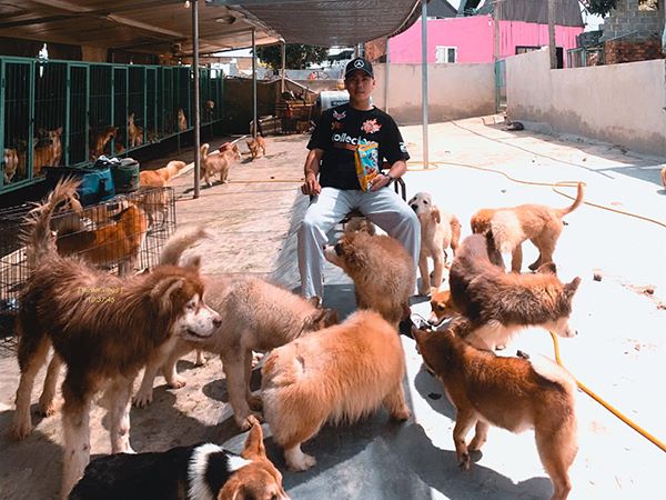 Nằm mơ thấy nuôi chó có điềm gì, tốt hay xấu?