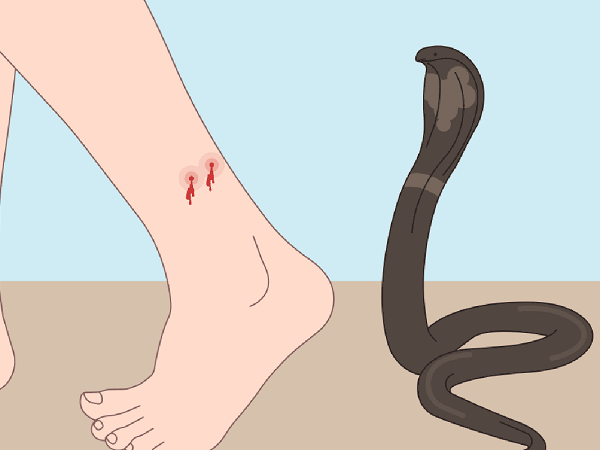 Nằm mơ thấy rắn cắn chân người thân