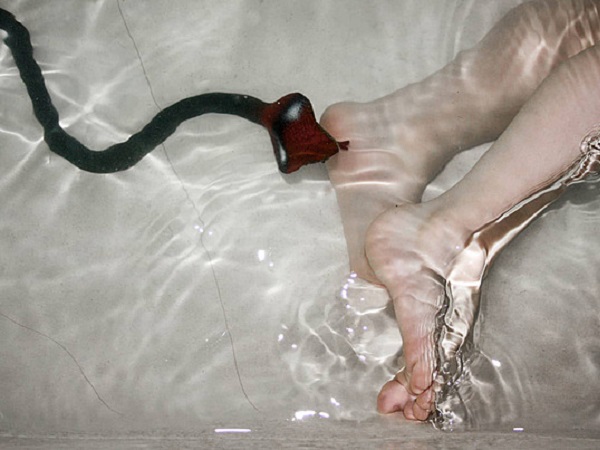 Hé lộ nằm mơ thấy rắn cắn chân là điềm gì, hên hay xui?