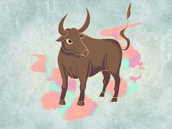 Cặp số đẹp tuổi Sửu 17/12/2025 mang lộc trời đến cho bạn