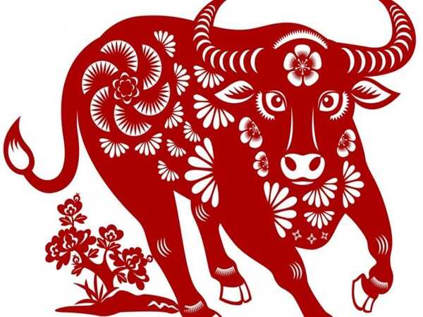 Con số tài lộc tuổi Sửu 17/12/2025 hôm nay mang tài lộc