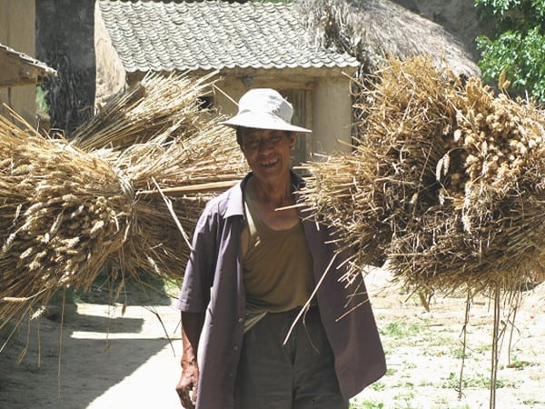 Giải mã thông điệp nằm mơ thấy ông nội đã mất là số mấy?