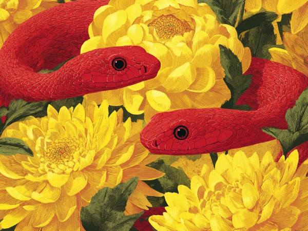 Con số may mắn tuổi Tỵ