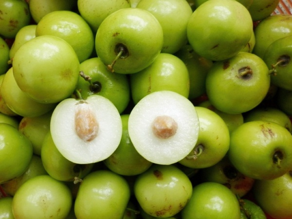 Nằm mơ thấy quả táo ta là điềm gì, chọn con gì đổi đời?