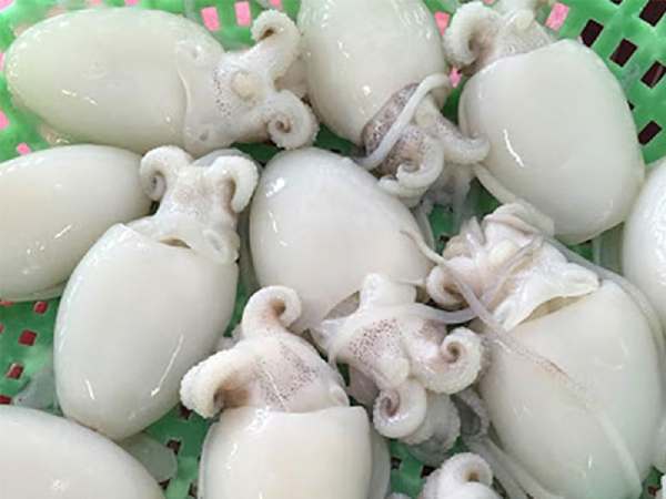 Xem ngay con mực là số mấy để tăng cơ hội trúng thưởng?