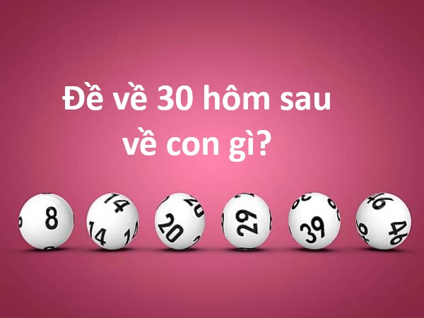 Chuyên gia phân tích đề về 30 hôm sau về con gì chính xác