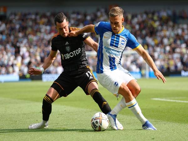 Lịch sử đối đầu Leeds United vs Brighton
